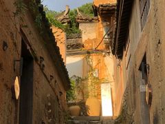 -杨家堂村