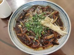 -椿不老