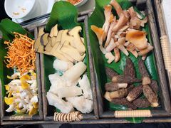 -木王宴语·野生鲜菌火锅(玉河店)