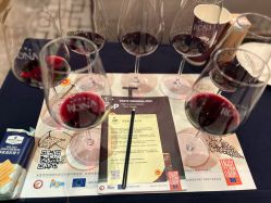 -宴会厅(北京瑰丽酒店)