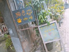 -猫色咖啡·猫咖