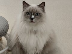 -共舞时光猫咖·狗咖(新街口店)