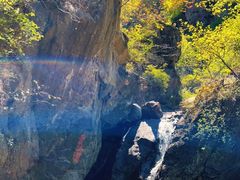 -云岫谷游猎自然风景区