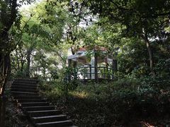 -云溪植物园