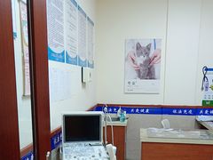 -艾贝尔宠物医院·狂犬免疫点(江山金象城店)