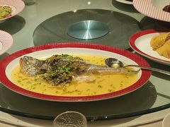 -圆苑(静安寺店)