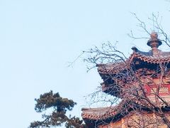 -颐和园