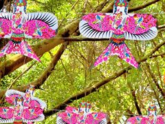 -南湖梦幻岛