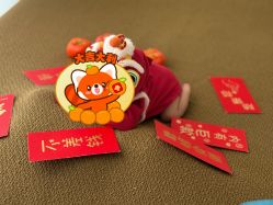 -玛瑞莎孕婴童摄影到家拍