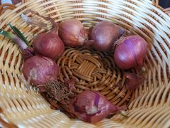 -佳木斯东北往事烧烤涮