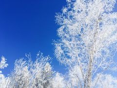 -亚布力新体委滑雪场