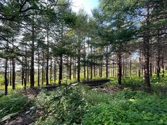 -白草畔自然风景区