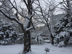 -北海道厅旧本厅舍(旧本庁舎)