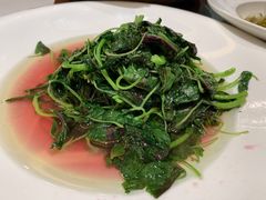 清炒时蔬-梦都海鲜酒家(万达广场江桥店)