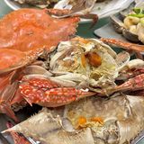 天津的！这一桌的含金量谁懂啊！