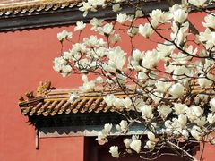 -北京市劳动人民文化宫(太庙)