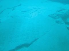 -白鹤梁水下博物馆