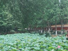 -湛山寺