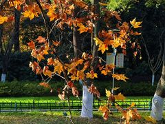 -东南大学(九龙湖校区)