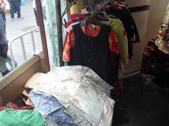 -一棵树(雨儿胡同)