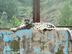 -青藏高原野生动物园