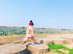 -上海都市菜园