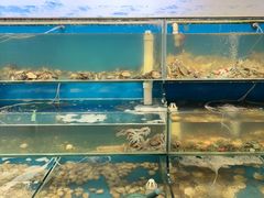 -仙螺岛海鲜自助餐厅(总店)