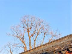 -长田漾湿地公园