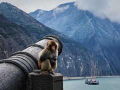 -白帝城·瞿塘峡景区