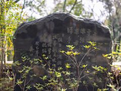 -上海佘山国家森林公园天马山园