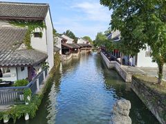 -鲁镇