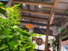 -管氏翅吧(地安门创始店)