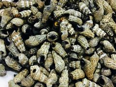 -瑞杰烧烤店·24小时营业(山东路店)