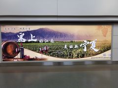 -银川河东国际机场