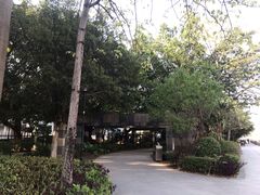 -黄埔荔枝公园