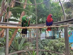 -大连森林动物园