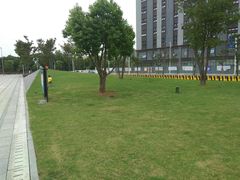 -南翔镇银翔湖公园