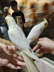 -Zoolung Zoolung动物主题公园(海信广场店)