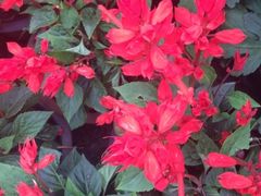 iphone_upload_pic-迎泽公园
