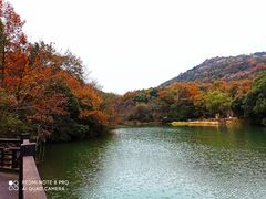 -白马涧龙池景区