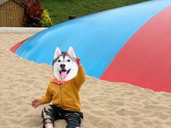 -季高兔窝窝亲子园(上海薰衣草公园店)