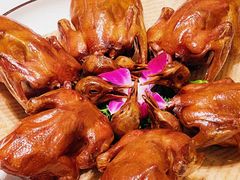 -十六台·经典广东菜(德外大街店)