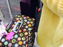 -厦门高崎国际机场-T3航站楼