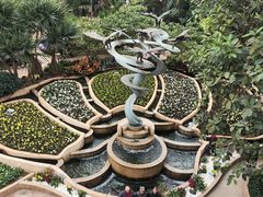 -南山植物园