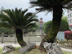 -四川大学(华西校区)