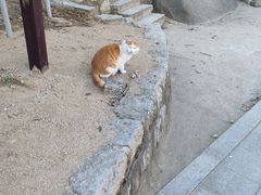 -北京凤凰岭