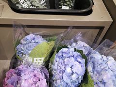 -鹿岛生活(熙地港店)