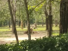 -秦皇岛野生动物园