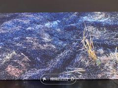 -宁波美术馆
