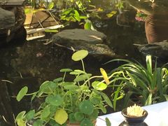 -新竹里馆·花园餐厅(兴苑路店)